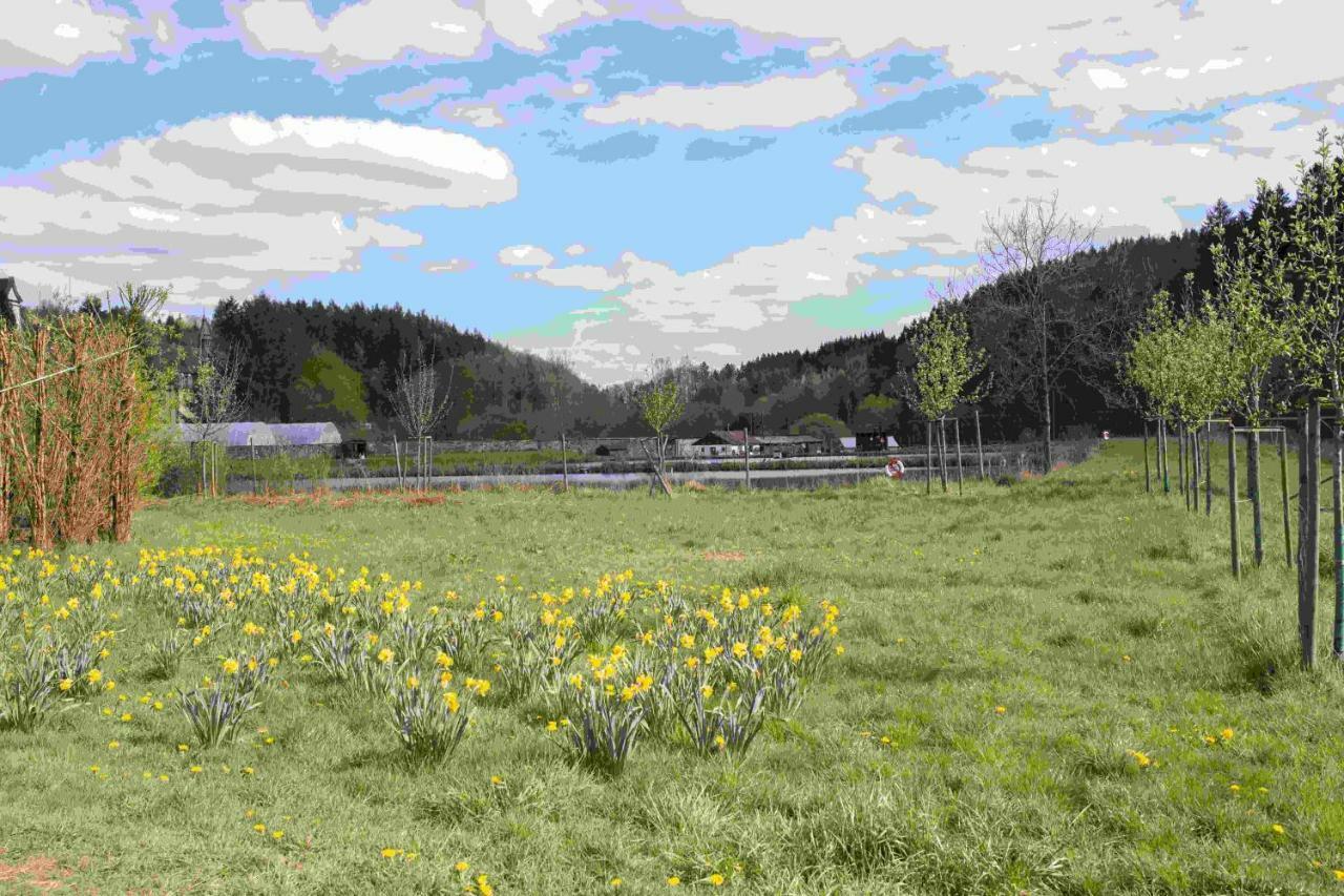 Ferienhaus Vulkaneifel Abtei Himmerod Grosslittgen Exterior photo